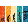 Evolution Skateboarder Skateboard Skater Skate
