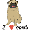 I love Pugs