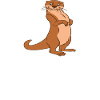 Simpatici giochi di parole di lontra e battute sulla lontra
