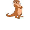 Simpatici giochi di parole di lontra e battute sulla lontra