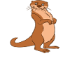 Cute otter puns and otter jokes