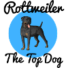 Rottweiler The Top Dog
