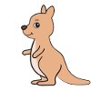 Kangaroo