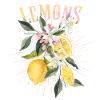 Lemon, botanical illustration, lemon blossoms
