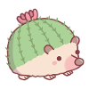 Cute Cactus Hedgehog Funny