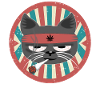 Cat with joint