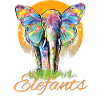 Elephant - Safari Tshirt