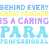 Paraprofessional