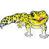 Léopard Gecko Lézard Reptiles Herpétologiste