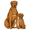 Rhodesian Ridgeback Dog Gift