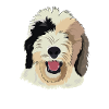 Cadeau de chien Sheepadoodle