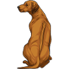Rhodesian Ridgeback Dog Gift