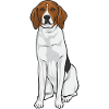 Treeing Walker Coonhound