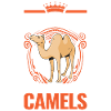 Kamel Geschenk Dromedar Camel Großkamel