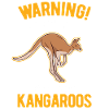 Kangaroo Australia Australian Kangaroo