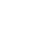 Snowmobile Snowmobile Pair