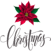 Christmas Weihnachtsstern