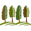 Baum