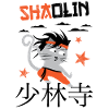 Grappige Kat, Shaolin Grappige Kat Meester Kung Fu