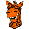 Funny giraffe orange