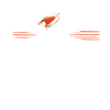 Messager de Noël