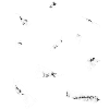 Pyro Collection