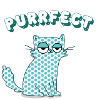Purrfect Cat