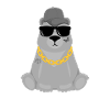 Cool Bear