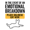 Émotionnel - Chat balinais