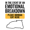 Emotional - Birman Cat