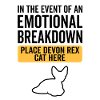 Emotional - Devon Rex Cat