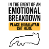 Emotional - Himalayan cat
