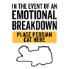 Émotionnel - Chat persan
