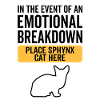 Émotionnel - Sphynx Cat