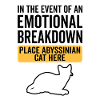Emotional - Abyssinian Cat