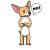 Chiweenie Chien