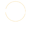 Toronto Quote
