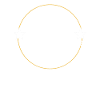 Delhi Slogan