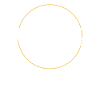 Toronto Spruch