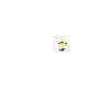 beartop