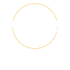 Miami Spruch