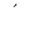 L'application monitrice d'équitation t-shirt femme