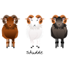 3Skudden
