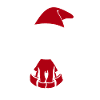 Santa Cat