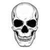 Totenkopf Skull Totenschädel Schädel Illustration