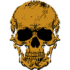 The Skull