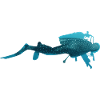 Scuba Diver Requin-baleine sous-marin