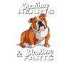English Bulldog