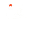 Snowboard, Snowboarder, Hokkaido Snowboard,