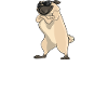 Chez A Pug Girl